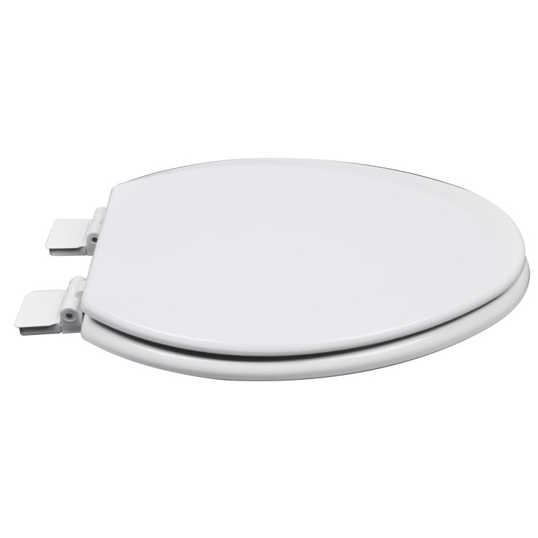 Bath Décor Premium Molded Wood Elongated Toilet Seat & Reviews Wayfair